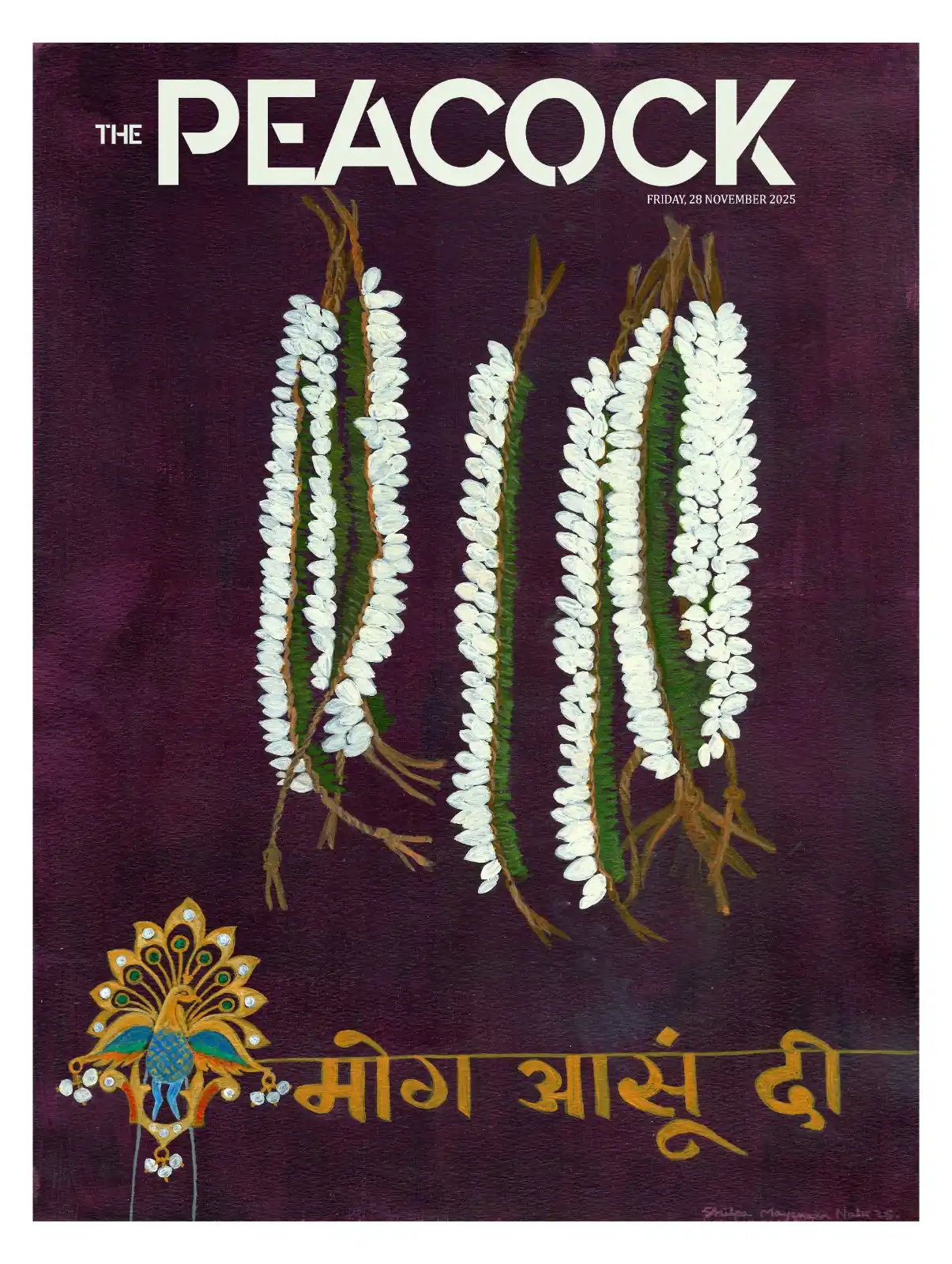 The Peacock - 28-11-2025 image